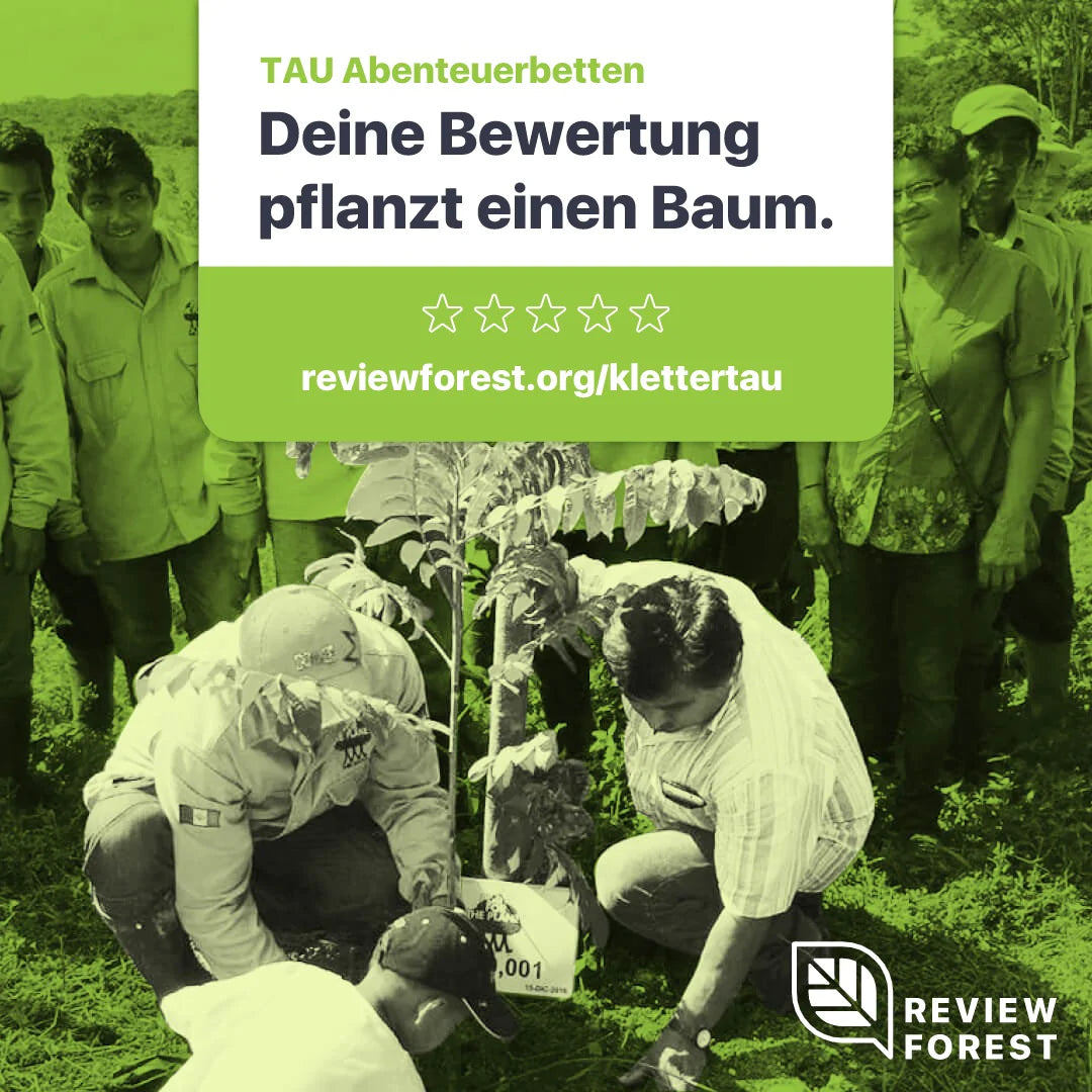 Titelbild Review Forest – Deine Bewertung pflanzt einen Baum.